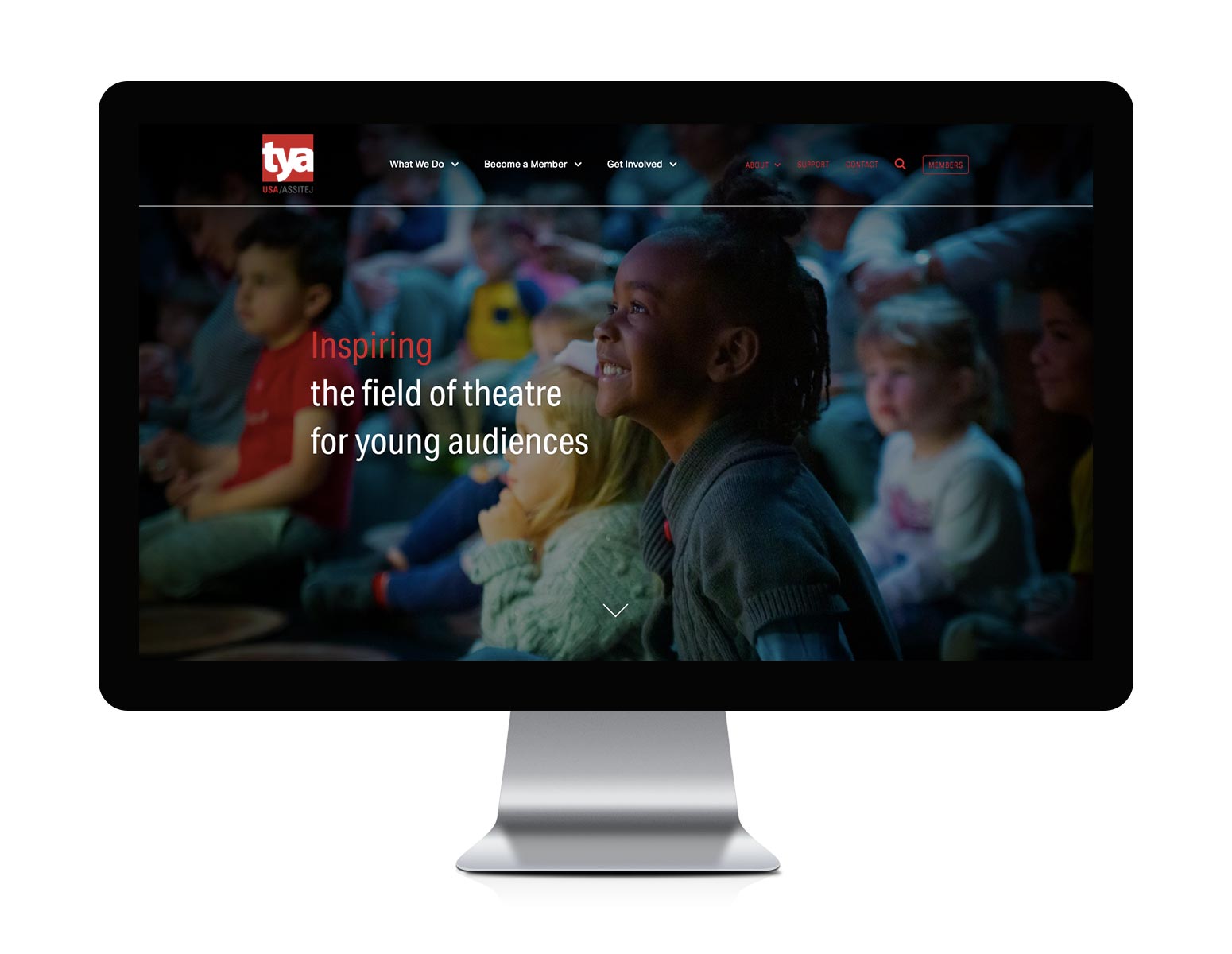 TYA/USA Website