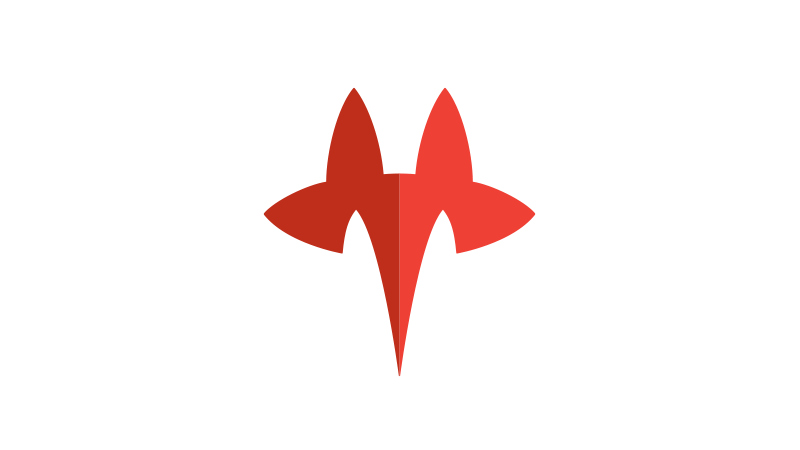 Flyer Fox Logo